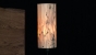 Arboreus 