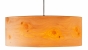 Discus Zirbe 
